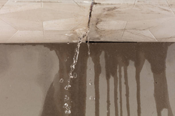 Professional Sewage Cleanup technician working in Pine, AZ